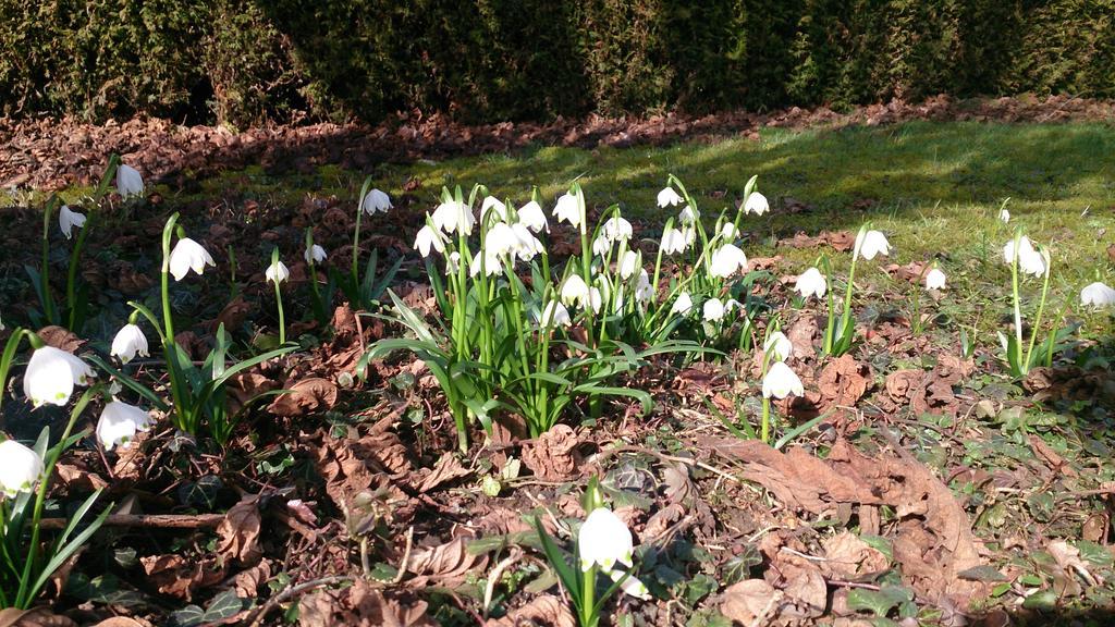 Der Platengarten Ansbach Buitenkant foto